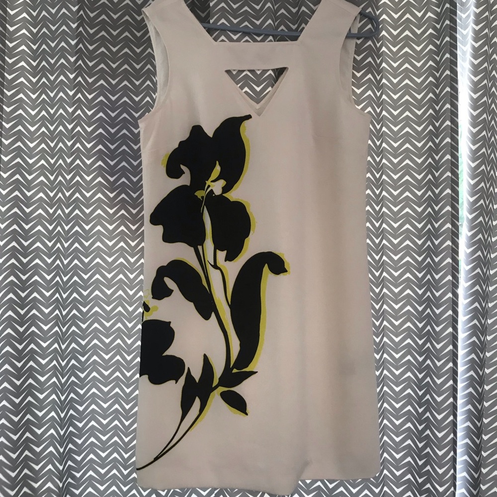 Brand new without tags banana republic dress